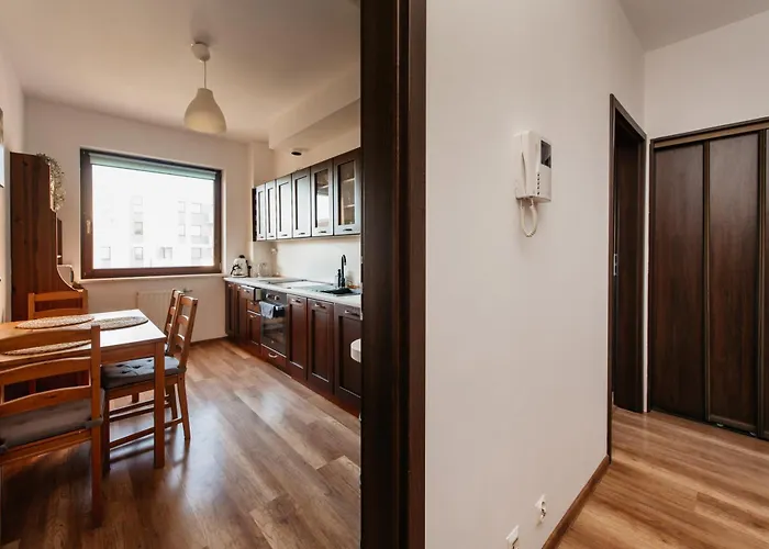 2-room With Garage And Air Conditioning In The Center קרקוב
